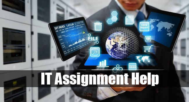 IT ASSIGNMENT HELP